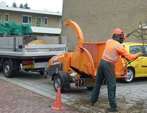 Zaandam snoeiwerk groenvoorzieningen